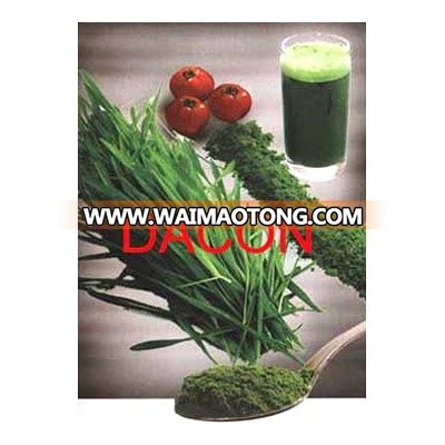 Barley/Wheat grass powder (100% pure, real manufacturer)