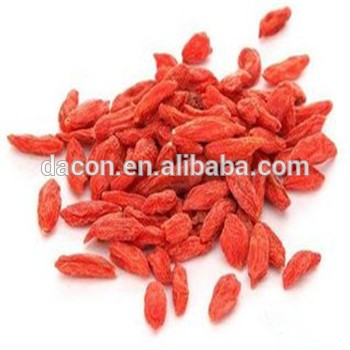 supply dried goji